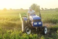 A farmer on a tractor drives across the farm field. Potato harvest campaign. Farming, agriculture. Harvesting potatoes in autumn.