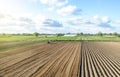 Farmer on a tractor drives on a farm field. Agriculture and agribusiness. Growing vegetables. Land market, lease of plots Royalty Free Stock Photo