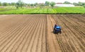 Farmer on a tractor drives on a farm field. Agriculture and agribusiness. Growing vegetables. Processing and transformation