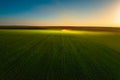 Farmer in tractor fertilizing wheat field, aerial view, hdr nature landscape Royalty Free Stock Photo