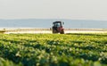 Farmer on a tractor with a sprayer makes fertilizer for young vegetable Royalty Free Stock Photo