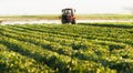 Farmer on a tractor with a sprayer makes fertilizer for young vegetable Royalty Free Stock Photo