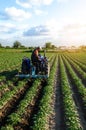 A farmer on a tractor works in the field. A farm worker tills the soil on a plantation. Agroindustry and agribusiness Royalty Free Stock Photo