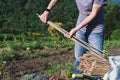 Farmer with tutors for the vineyard. Work in the vineyard