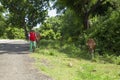 Farmer with Two Cows near Virgin Beach in Karangasem Regency, Bali, Indonesia