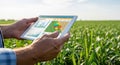 Farmer uses digital tablet in a lush cornfield analyzing data for modern agriculture technology Royalty Free Stock Photo