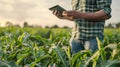 A farmer using AIenabled software to analyze satellite imagery and detect potential pest or disease outbreaks in crops Royalty Free Stock Photo