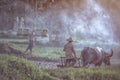 Farmer using buffalo plowing rice field