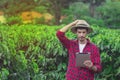 Farmer using digital tablet computer in cultivated coffee field plantation. Modern technology application in agricultural growing Royalty Free Stock Photo