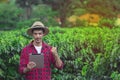 Farmer using digital tablet computer in cultivated coffee field plantation. Modern technology application in agricultural growing Royalty Free Stock Photo