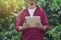 Farmer using digital tablet computer in cultivated coffee field plantation Royalty Free Stock Photo