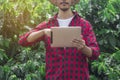 Farmer using digital tablet computer in cultivated coffee field plantation Royalty Free Stock Photo