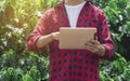 Farmer using digital tablet computer in cultivated coffee field plantation Royalty Free Stock Photo