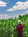 Farmer using digital tablet computer in cultivated corn field Royalty Free Stock Photo