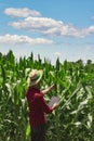 Farmer using digital tablet computer in cultivated corn field plantation Royalty Free Stock Photo