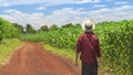 Farmer using digital tablet computer in cultivated corn field plantation Royalty Free Stock Photo