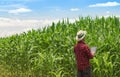 Farmer using digital tablet computer in cultivated corn field plantation Royalty Free Stock Photo