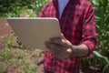 Farmer using digital tablet computer in cultivated corn field plantation Royalty Free Stock Photo