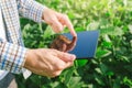 Farmer using digital tablet computer in cultivated soybean crops Royalty Free Stock Photo