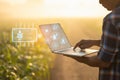 Farmer using digital tablet in corn crop cultivated field with smart farming interface icons and light flare sunset effect. Smart