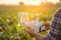 Farmer using digital tablet in corn crop cultivated field with smart farming interface icons and light flare sunset effect. Smart