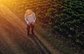 Farmer using drone in sugar beet crop field Royalty Free Stock Photo