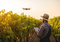 Farmer Using Drone Technology for Vineyard Management at Sunset Royalty Free Stock Photo
