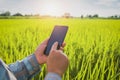 farmer using mobile checking report of agriculture