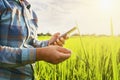 farmer using mobile checking report of agriculture