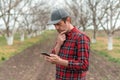 Farmer using mobile smart phone app in walnut fruit orchard, smart farming and modern technology