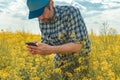 Farmer using smart phone in blooming canola field