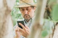 Farmer using smart phone in walnut orchard, innovative technology in organic farming Royalty Free Stock Photo