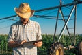 Farmer using tablet computer in cornfield with irrigation system Royalty Free Stock Photo