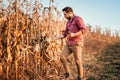 farmer using technology in agriculture field. Harvesting details with handsome farmer