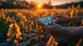 Golden Hour Precision Agriculture with Drone Technology