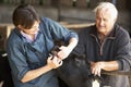 Farmer With Vet Examining Calf