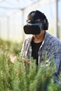 Farmer in VR headset controlling process of growing rosemary in greenhouse cultivation. Smart farming concept