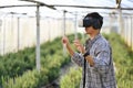 Farmer in VR headset controlling process of growing rosemary in greenhouse cultivation. Smart farming concept