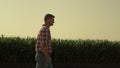 Farmer walking corn farmland in morning sunlight. Thoughtful man inspecting Royalty Free Stock Photo