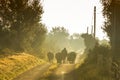 Farmer walking with cows