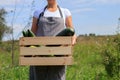 Farmer walking through the field with carte full of fresh harvest.