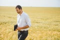 Farmer walking through a green wheat field on windy spring day and examining cereal crops Royalty Free Stock Photo