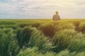 Farmer walking through a green wheat field Royalty Free Stock Photo