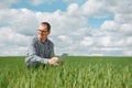 Farmer walking through a green wheat field on windy spring day and examining cereal crops Royalty Free Stock Photo