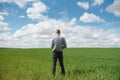 Farmer walking through a green wheat field on windy spring day and examining cereal crops Royalty Free Stock Photo