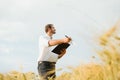 Farmer walking through a green wheat field on windy spring day and examining cereal crops Royalty Free Stock Photo