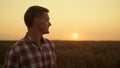 Farmer walking wheat field examining cultivated cereal closeup. Agro concept. Royalty Free Stock Photo