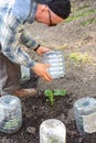 Farmer warming cucumbers by plastic bottle in the garden