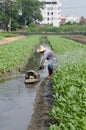 Farmer water plant