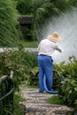 Farmer watering crops